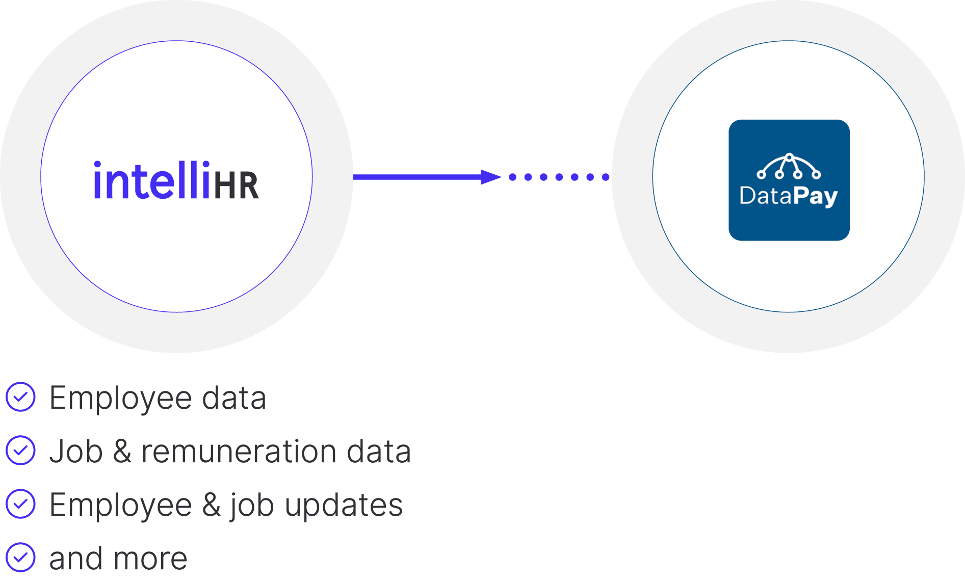 DataPay: Custom Integration With IntelliHR & How It Works – IntelliHR ...